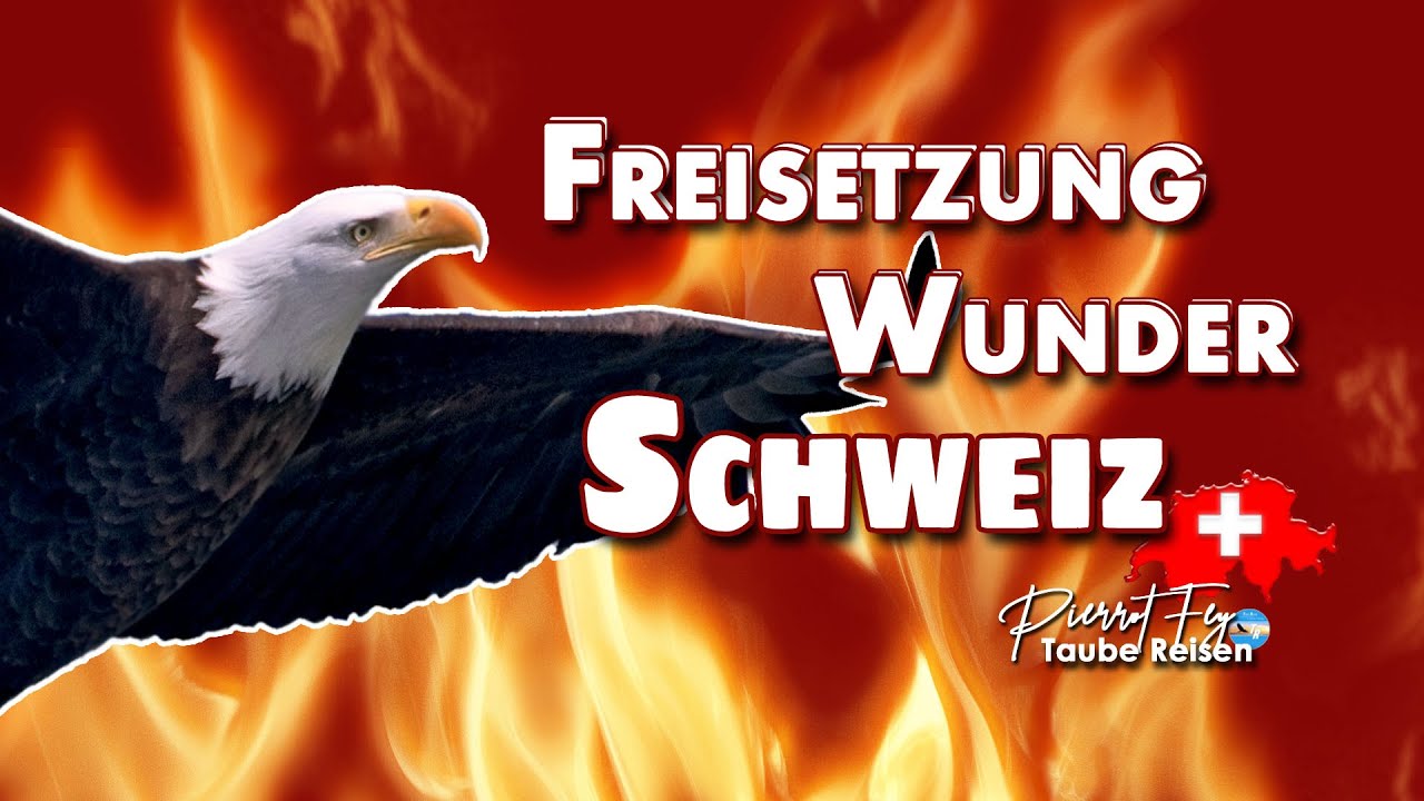 Pierrot Fey - 🇨🇭 Freisetzung Wunder für die Schweiz