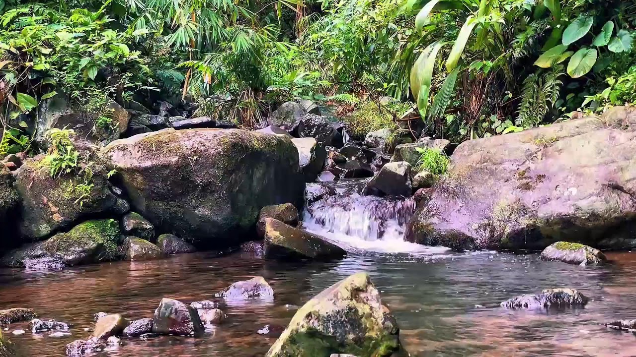 Midnight River ASMR for Peaceful Dreams