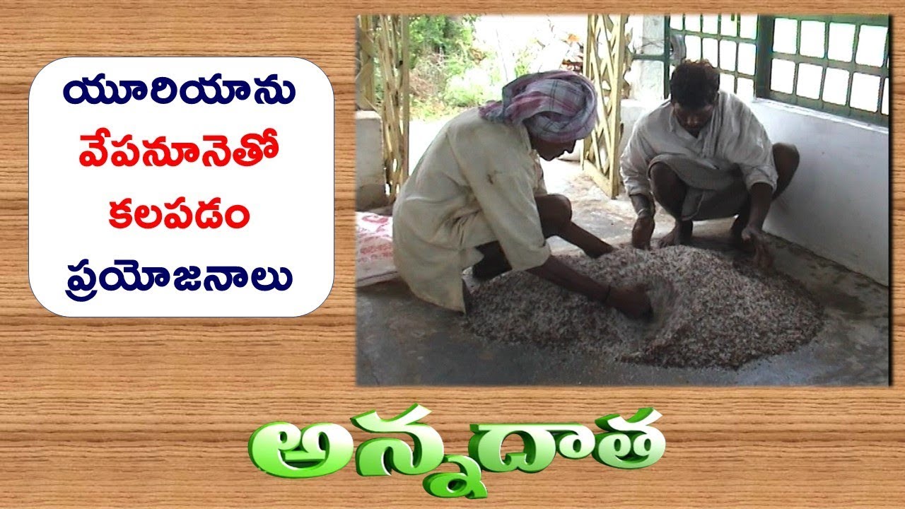 Benifits of Neem Coated Urea || ETV Annadata
