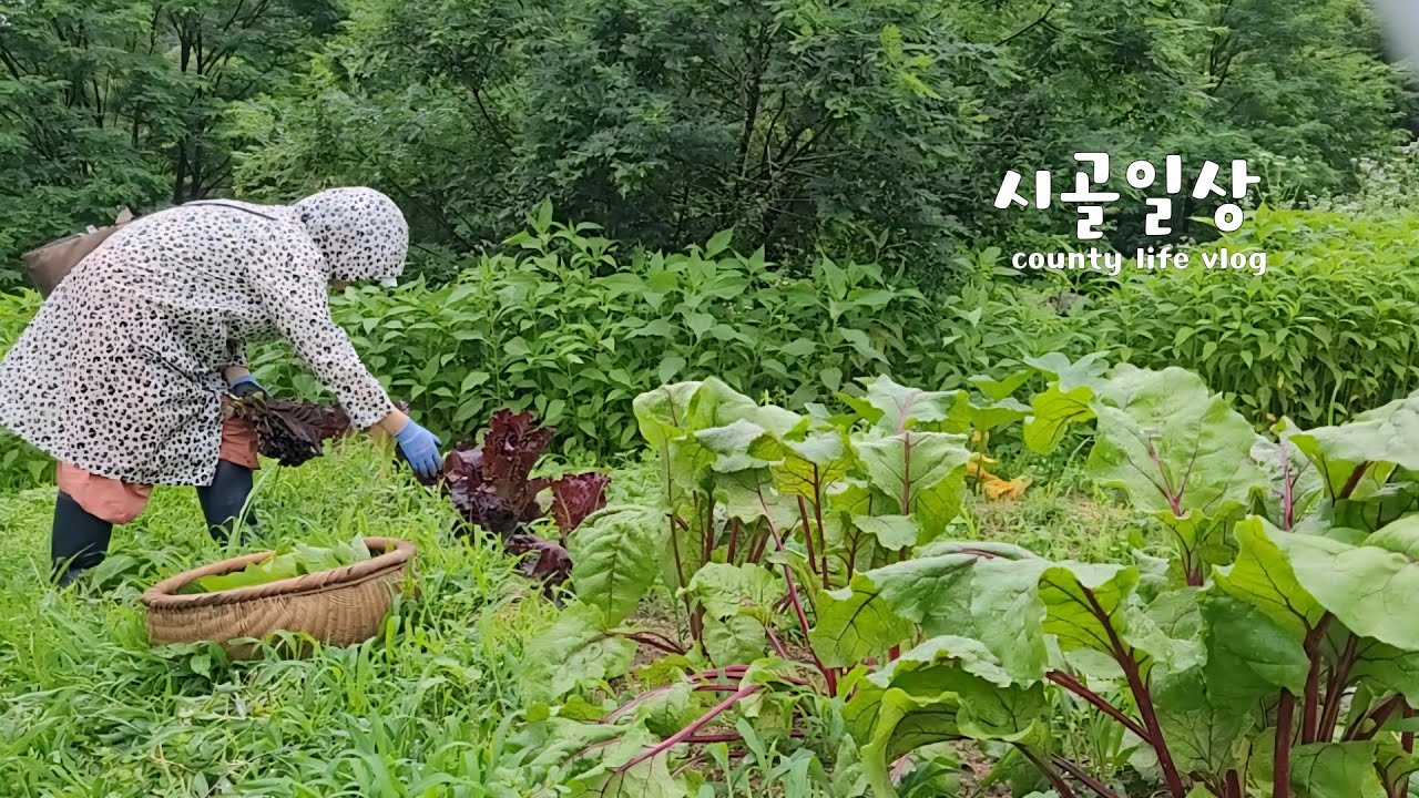 RUS | Просто прогуливаясь по саду, вы найдете корзину, полную 5 видов овощей 🥬 2 вида ягод, котор...