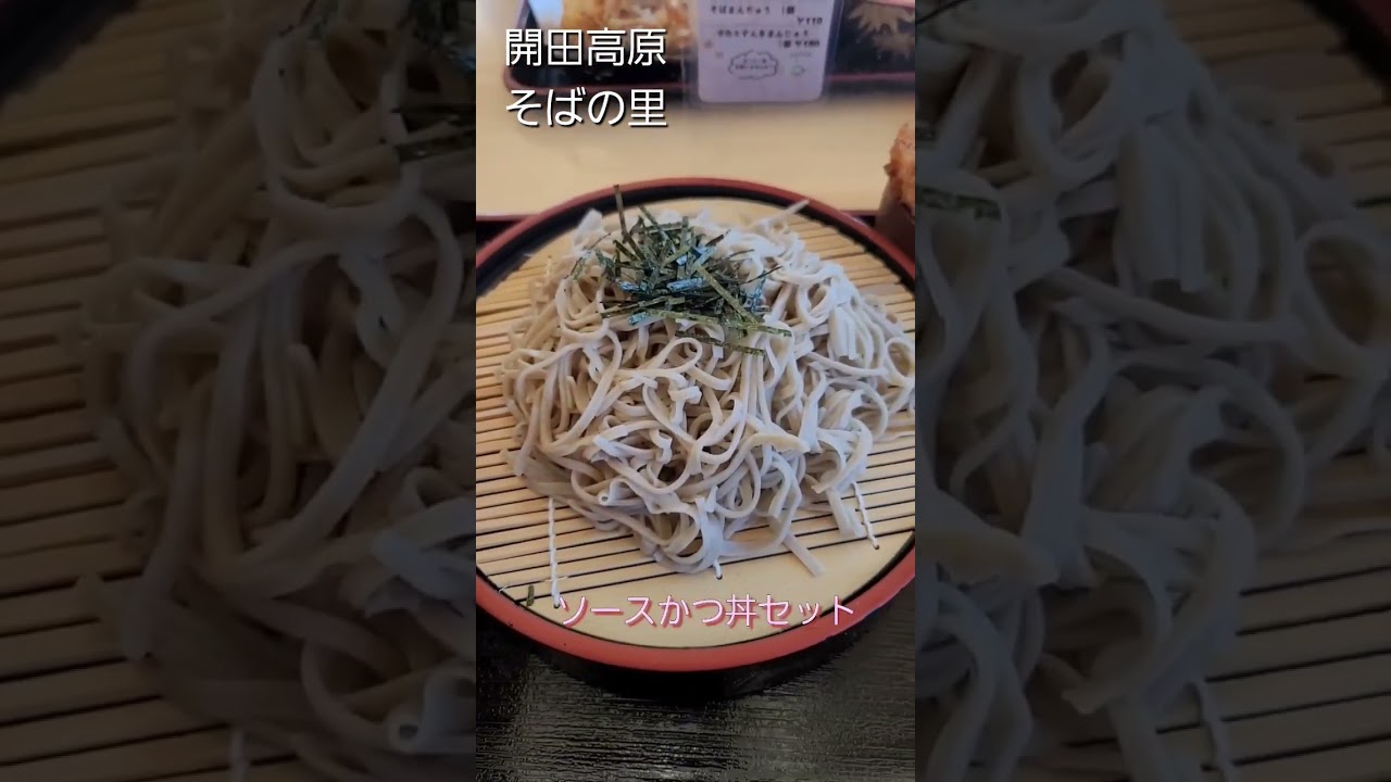 #mukbang #木曽開田高原#ソースかつ丼セット