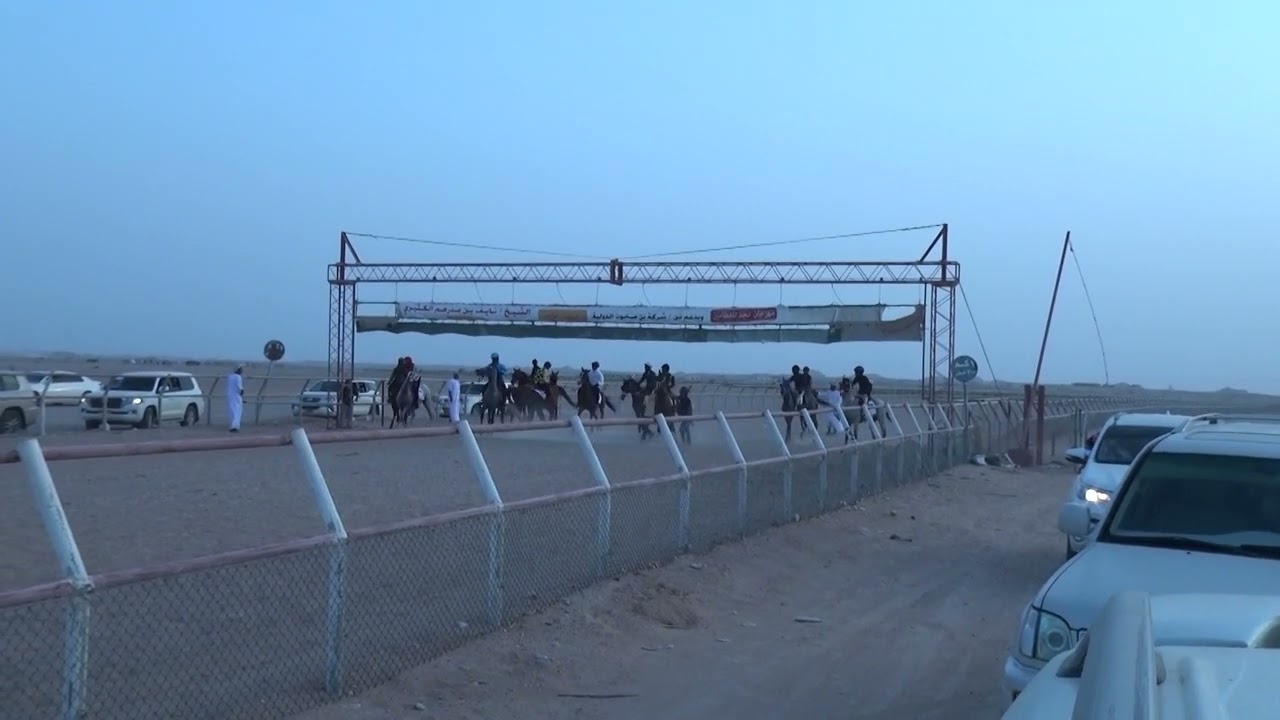 الشوط الثاني سباق الخيول اليوم بثمريت الجمعة ١٧ / ٦  / ٢٠٢٢ م