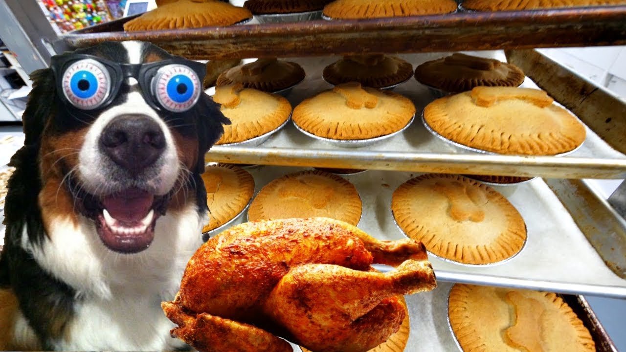 What 500 Barksgiving Dinners Looks Like: Thanksgiving for dogs!
