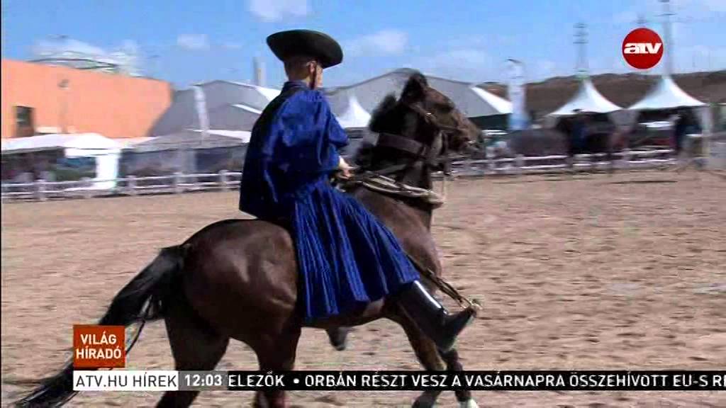 Hét nap alatt nyolc bemutató, hatalmas magyar lovassiker Marokkóban