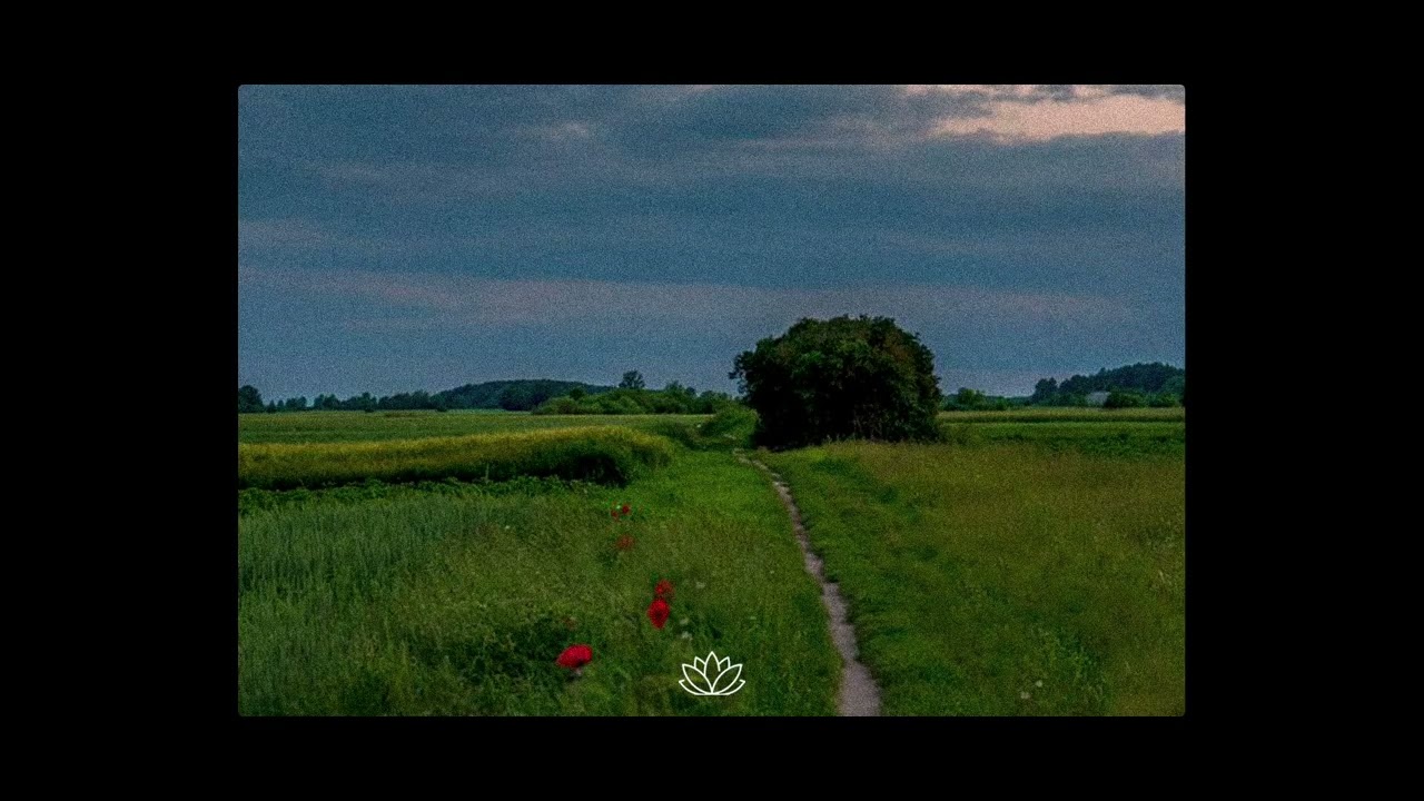Sad Folk Pop Type Beat - “Loverboy