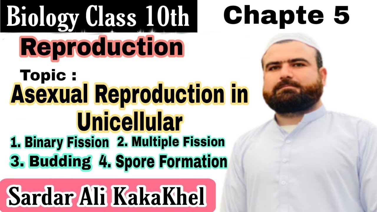 Asexual Reproduction in Unicellular | Reproduction | Biology Class 10th | Armaghan Tution Academy