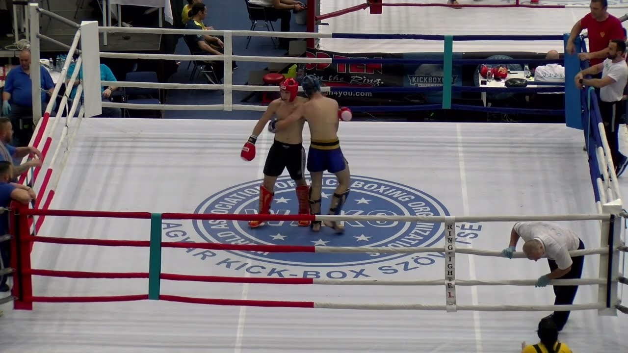 Stevan Sekulic v Ishak Agovic Hungarian World Cup 2024