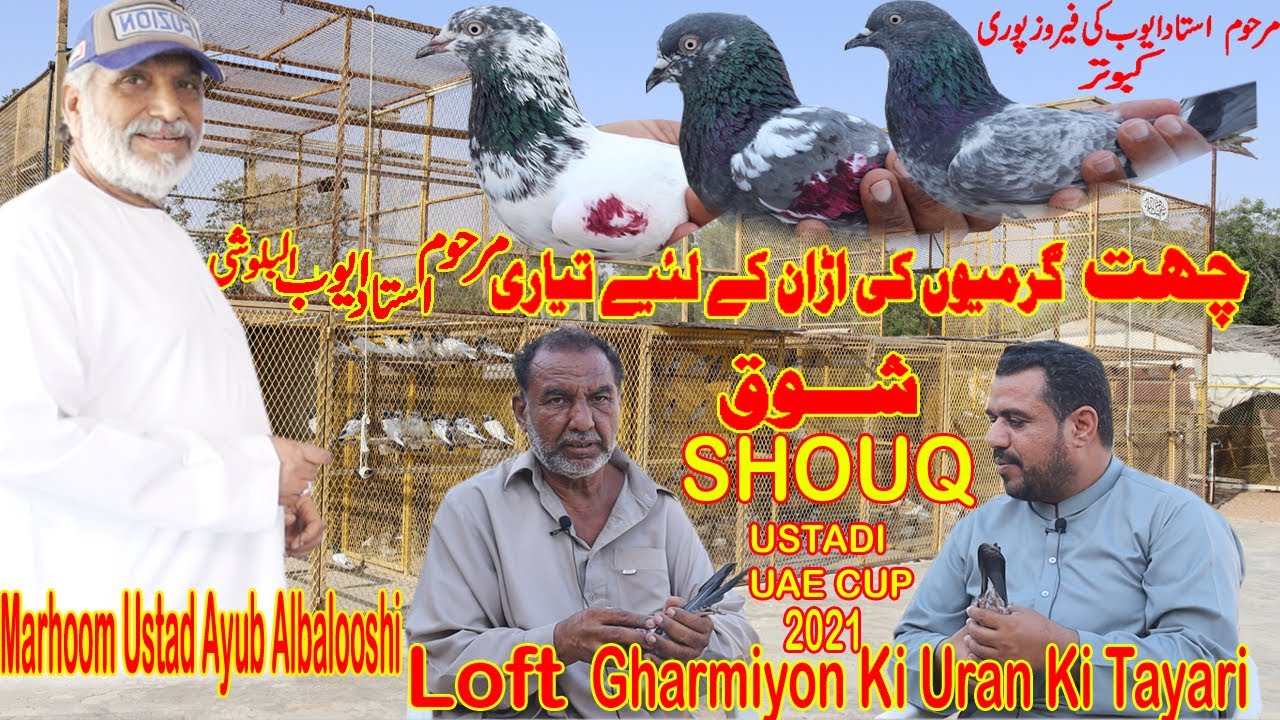 Marhoom Ustad Ayub  Loft|Garmiyon Ki Uran Ki Tayari|Shouq| Summer Tournament|سطح مرحوم استاد أيوب