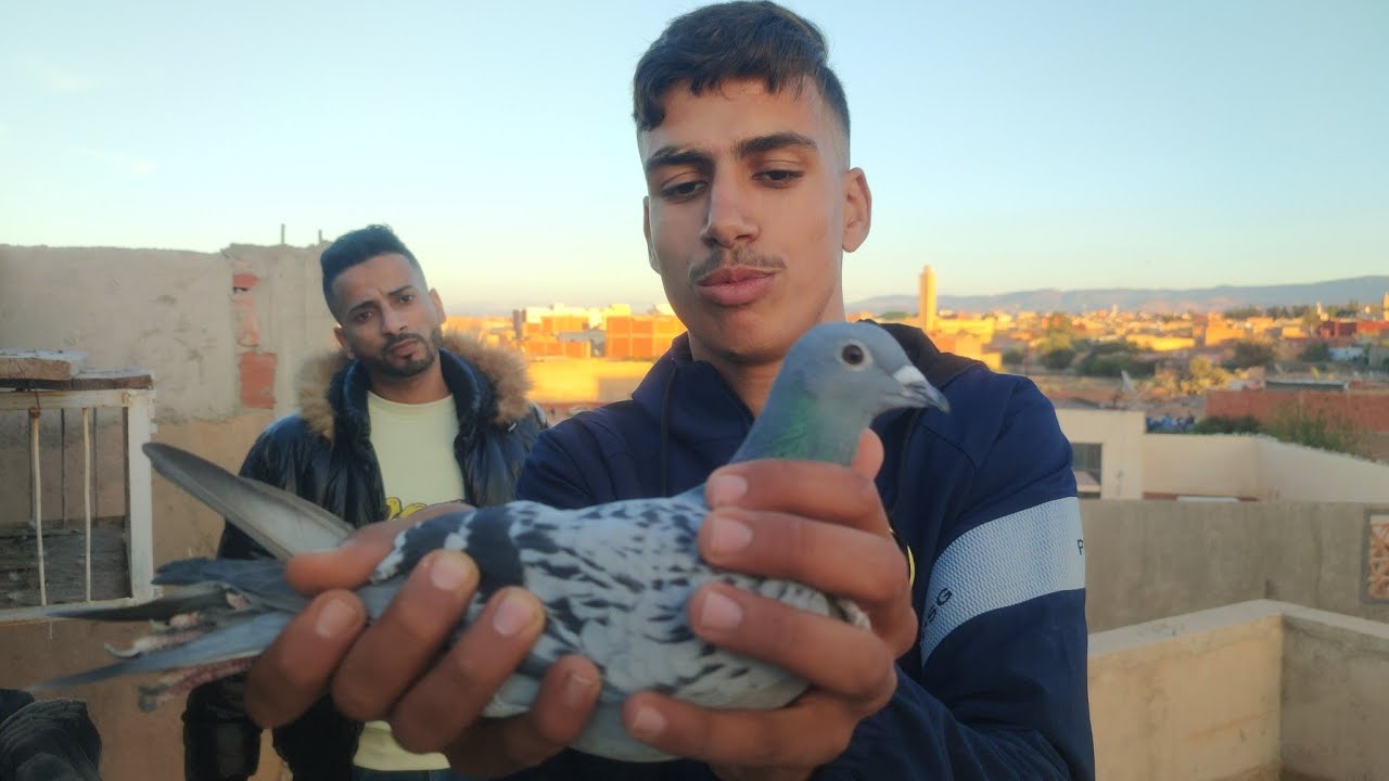 لأول مرة فيديو مع البطل الكبير بلال الرضواني عن جمعية الصداقة الوجدية 20/11/2022