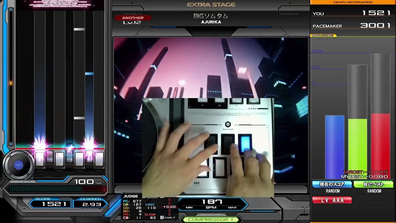 BIGソムタム(A) 2955(AAA-46)