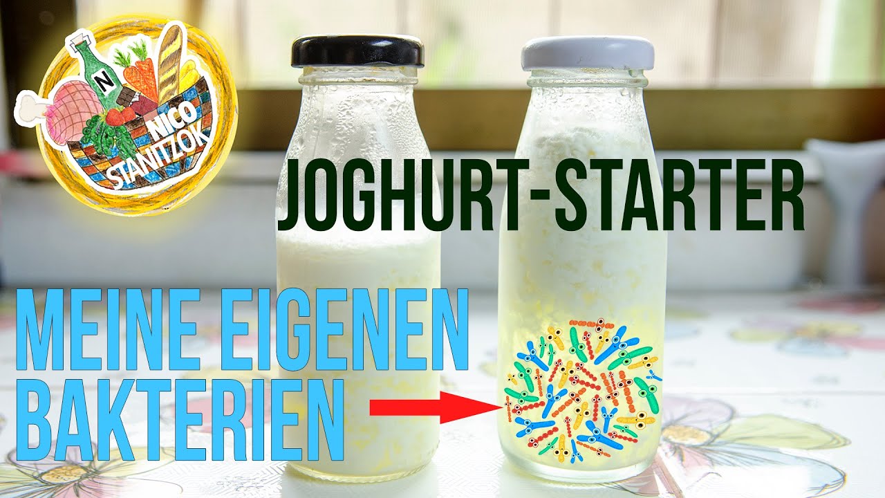 Joghurt-Starter selber machen mit natürlichen Milchsäurebakterien aus der Natur | Nico Stanitzok