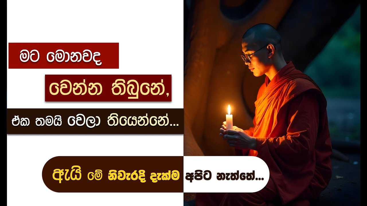 වස්සාන සමය 2024 : විශේෂ ධර්ම සාකච්ඡා... 62 | Niwan Dakimu