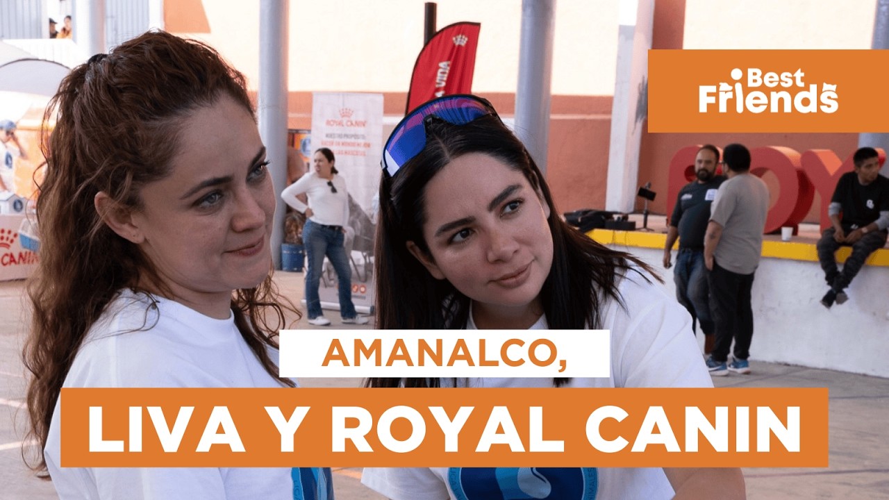 Campaña masiva de esterilización en Amanalco | Royal Canin x LIVA | Cobertura Best Friends