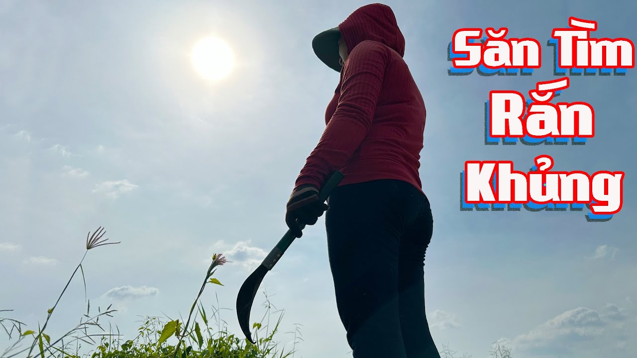 Hạ Gục Con Rắn Khủng Liền Thay Đổi Cục Diện # Cò Sang Săn bắt  # Tập 17 # co sang san bat