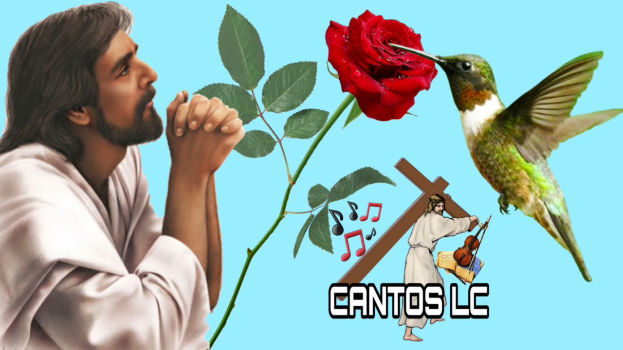 grupo san marcos evangelista vol 4 álbum completo mejores cantos católico en Qanjobal