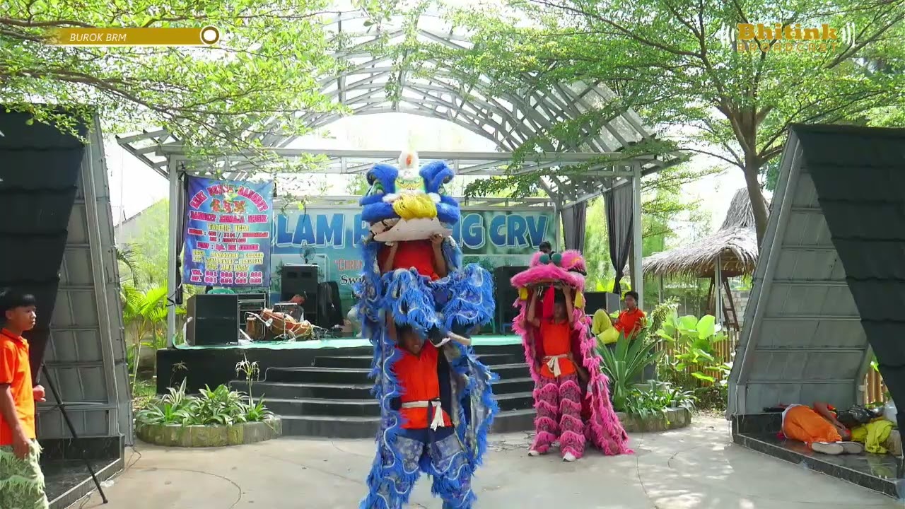 #21 ATRAKSI BARONGSAI || BUROK BRM GROUP LIVE DI KOLAM RENANG CRV Manggari Oleced 30 November 2025  