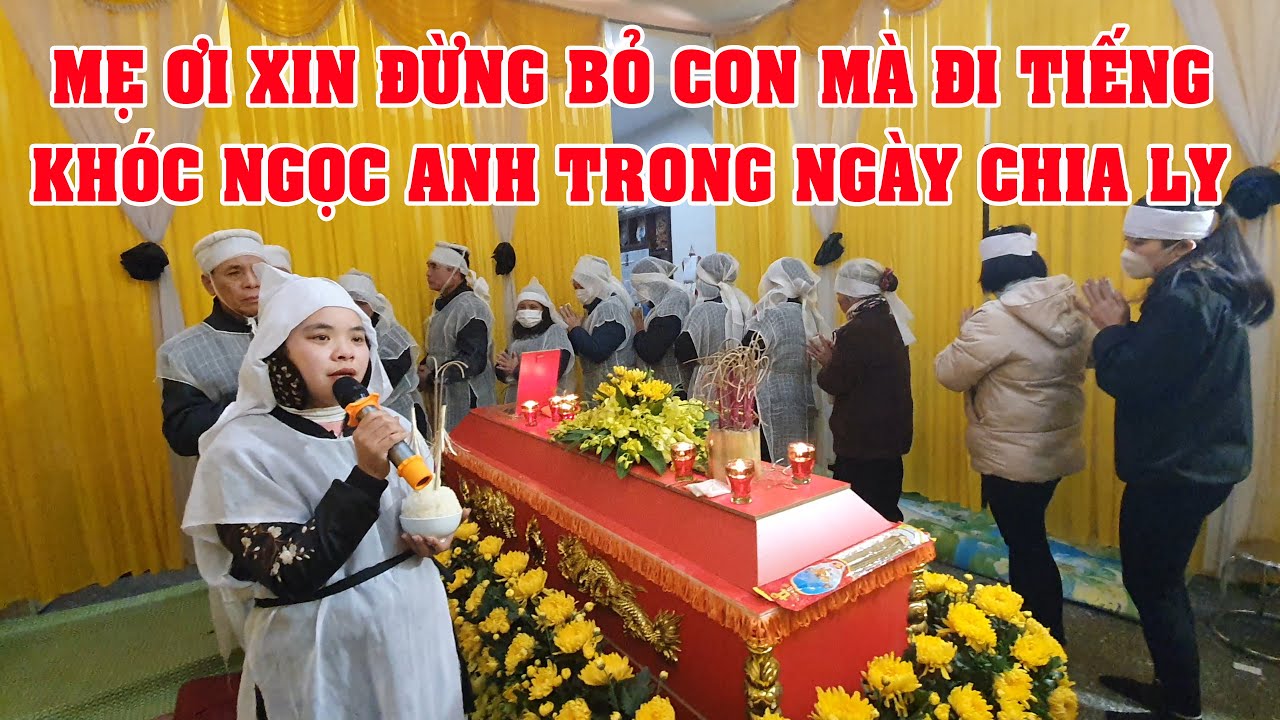 Mẹ Ơi Xin Đừng Bỏ Con Mà Đi Tiếng Khóc Ngọc Anh Thấu Đến Trời Xanh Báo Hiếu Cụ Nguyễn Thi Mạc