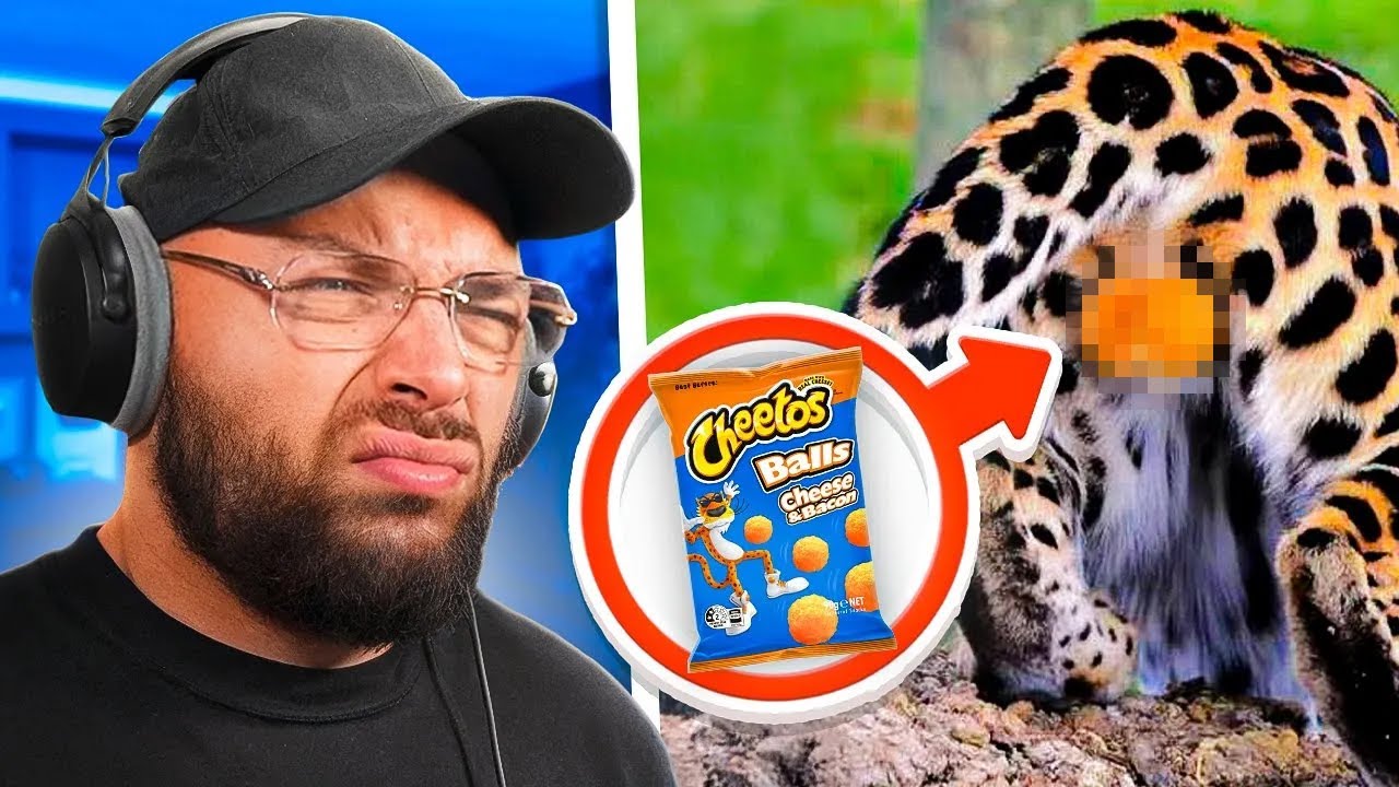 Na Deze Video Is Je Leven Veranderd