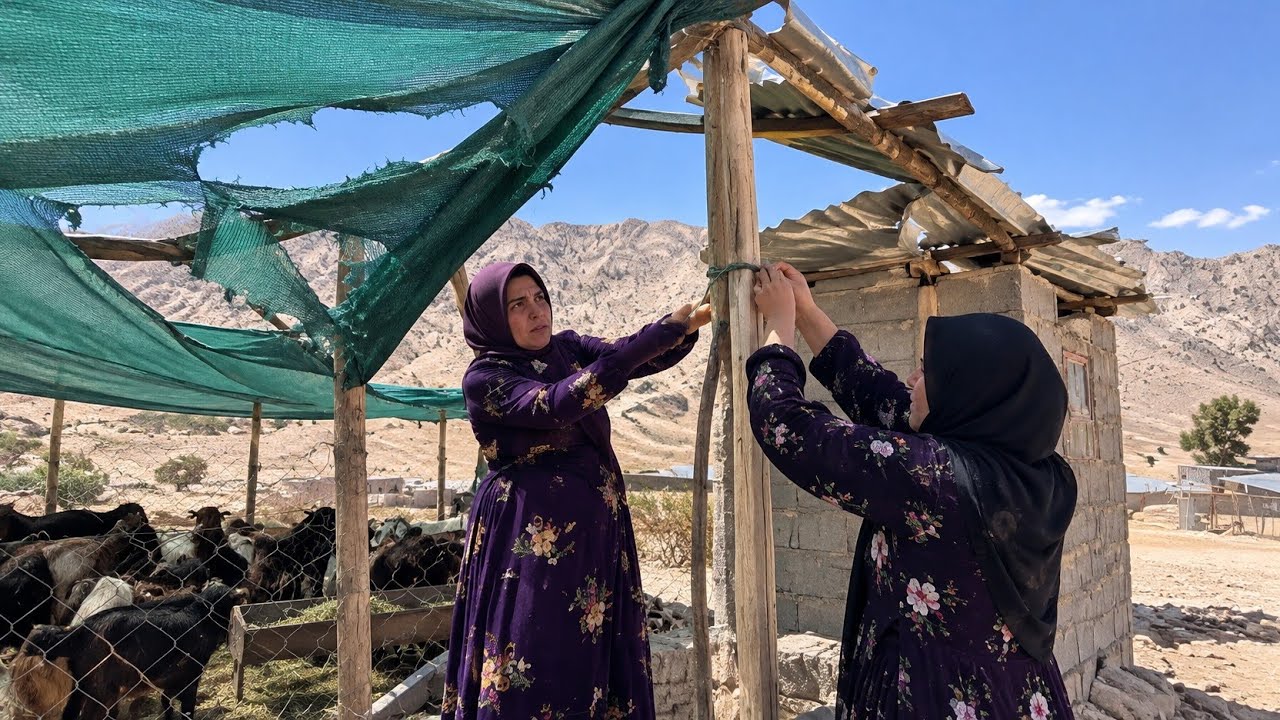 A Strong Wind Destroyed Fariba&rsquo;s Shelter! 😢 She Was Heartbroken and Had to Fix It