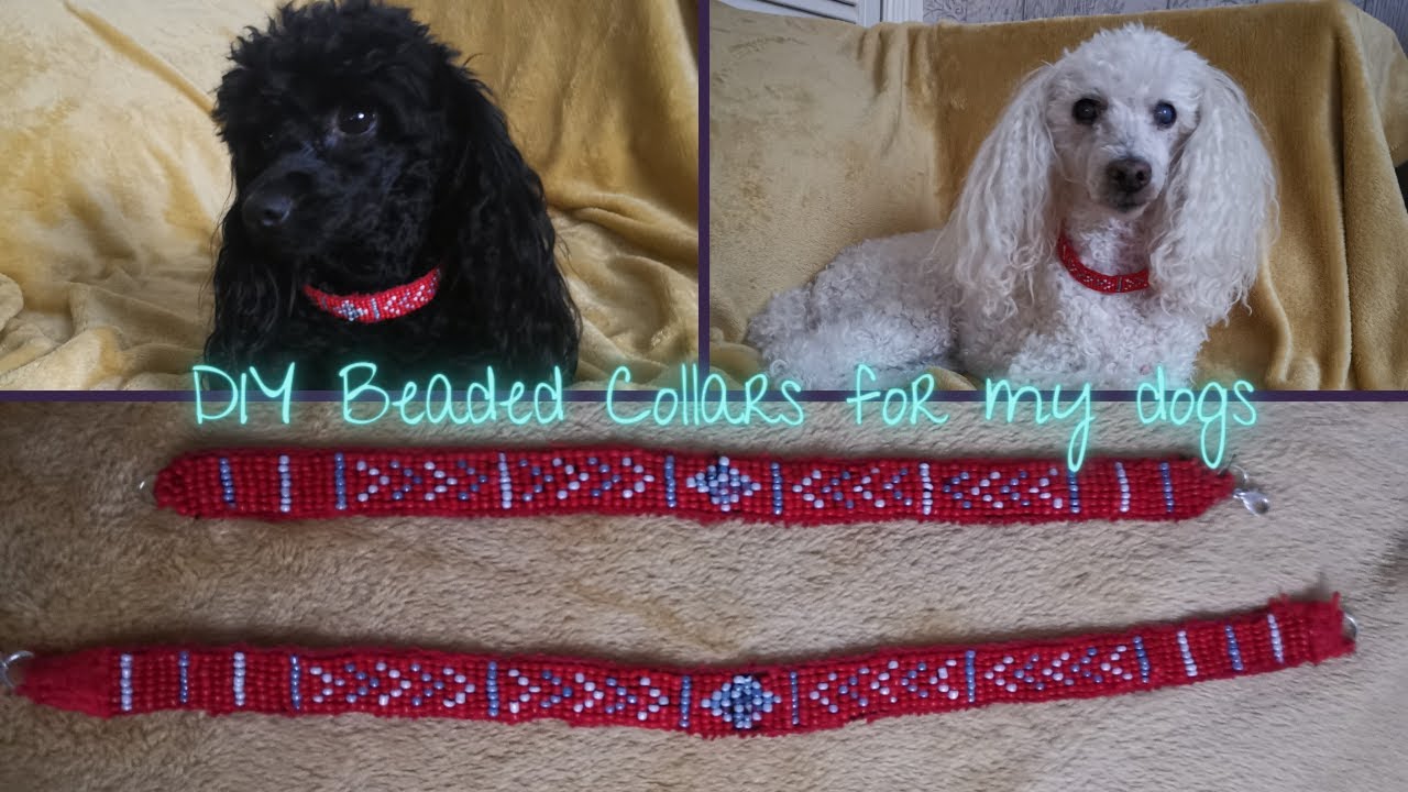 DIY - Seed bead collars for my dogs