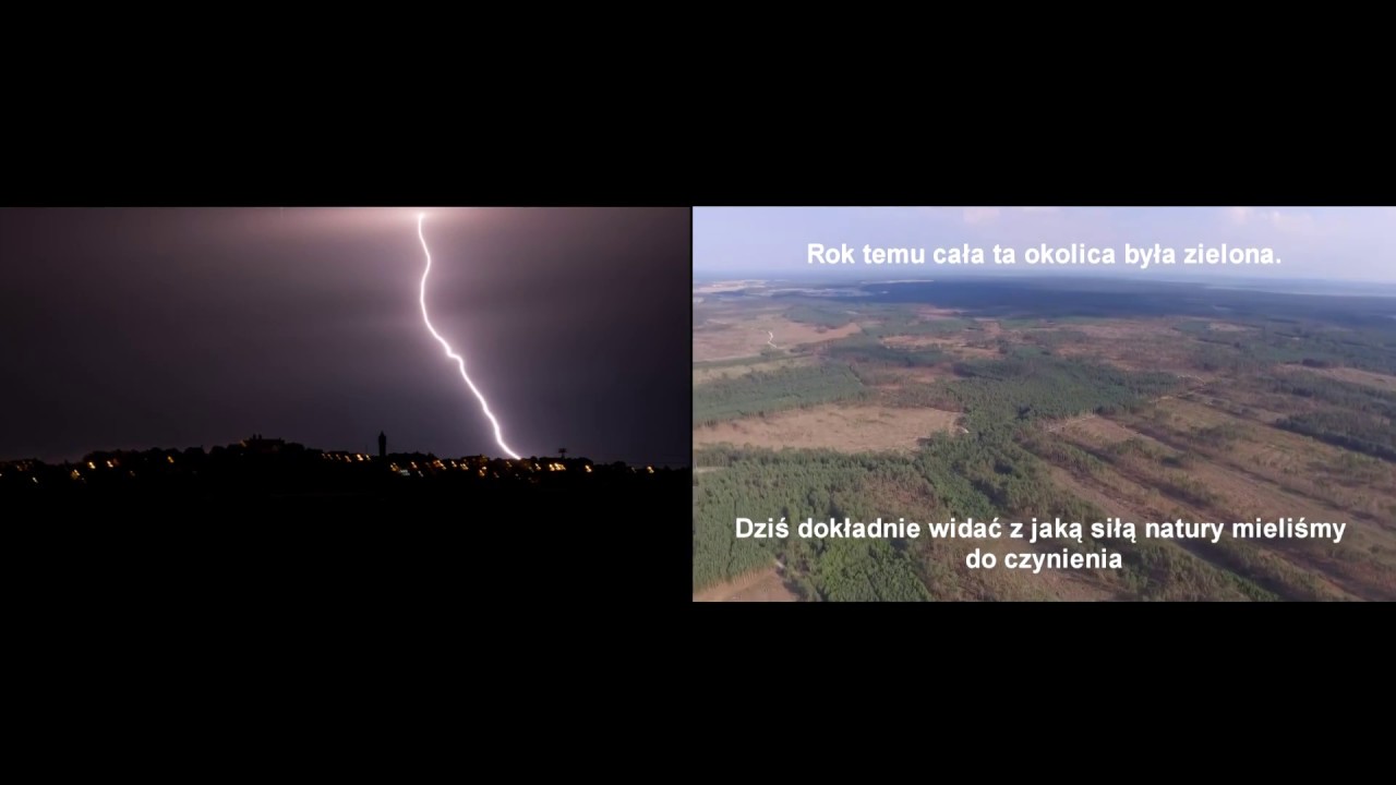 Nawałnica 2017 - Nadleśnictwo Szubin - rok później.