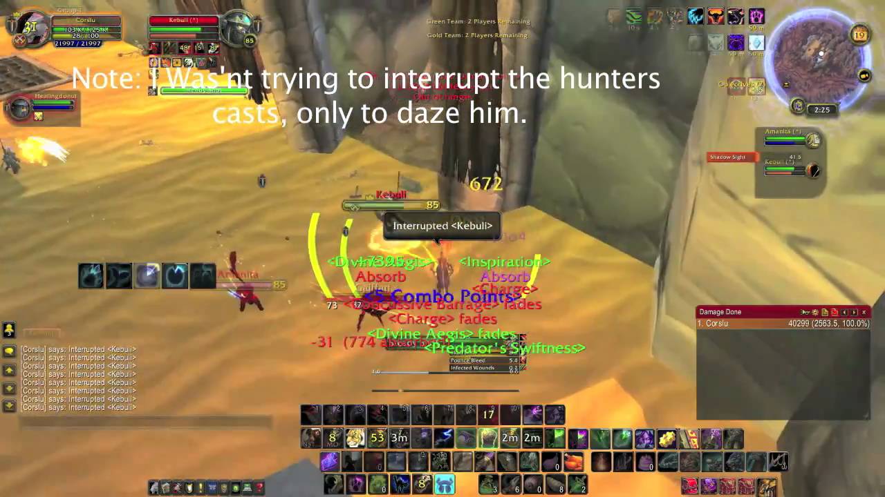 Feral Druid - Disc Priest 2v2 - Cataclysm 85 HD