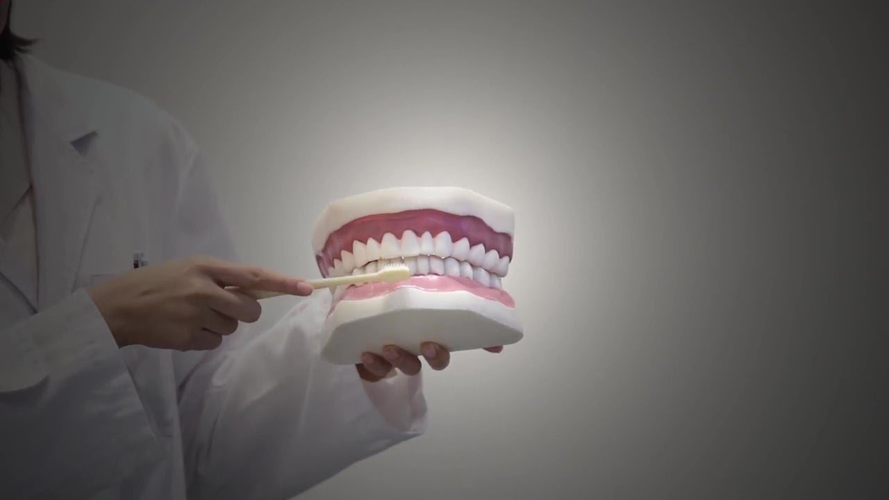 Tem escovado os seus dentes de forma correta?