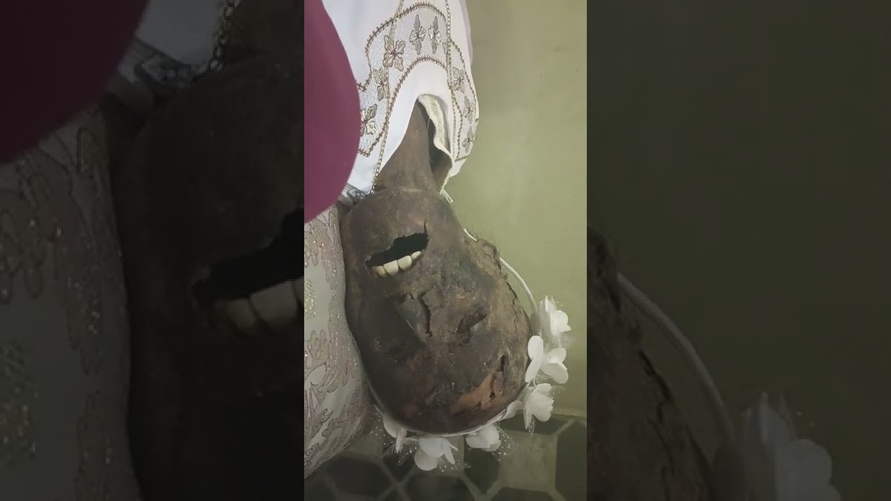 دير الشهيد أخميم بسوهاج ٢٠٢٢/١١/٢٨