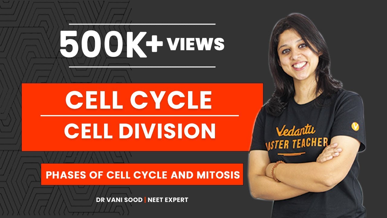 Cell Cycle and Cell Division Class 11 | Phases of Cell Cycle and Mitosis | NEET 2022 | V Biotonic