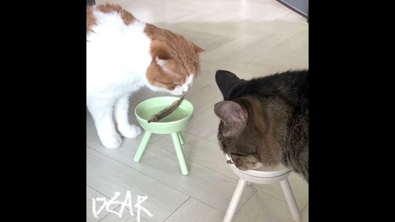 [Remix] NewJeans - How Sweet (Dear. remix)