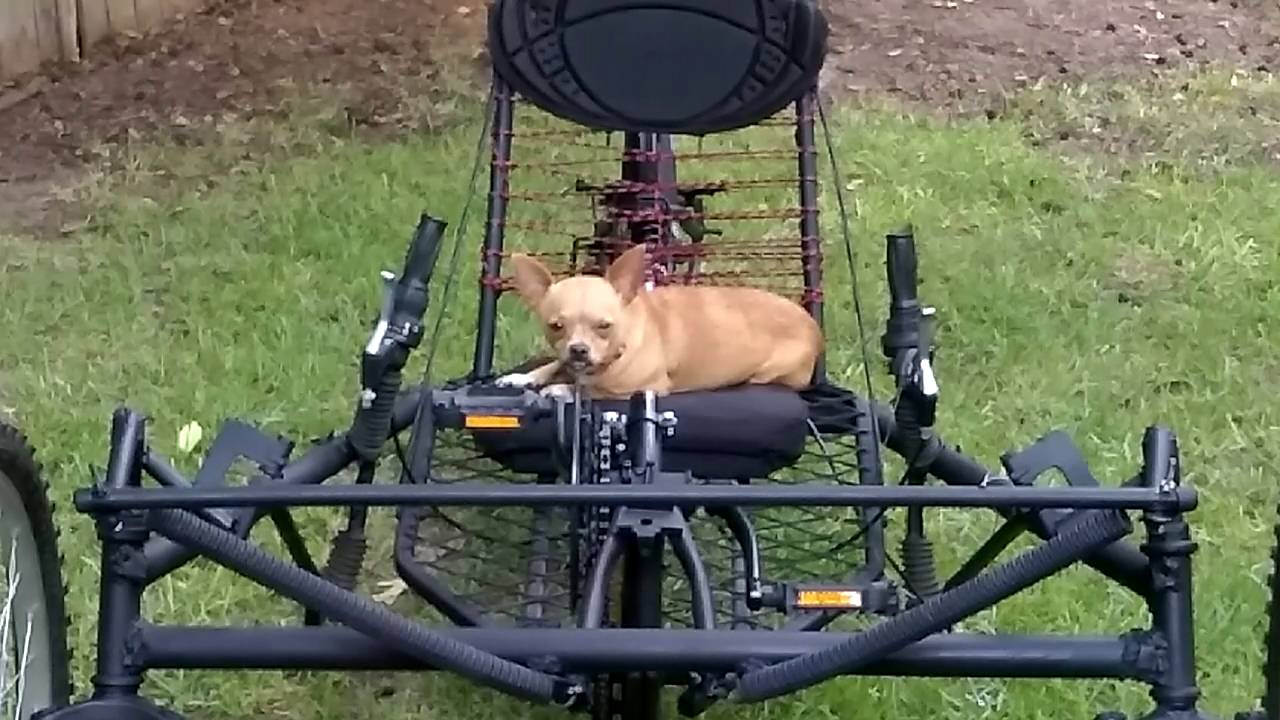 Reverse trike bicycle build (steering)
