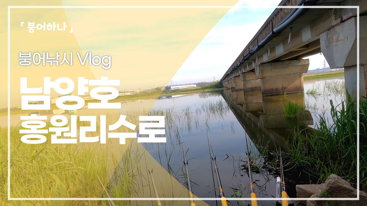 수초와 물색, 일조량 모든 조건이 완벽했던 홍원리수로에서 아버지와 붕어낚시 다녀왔습니다!