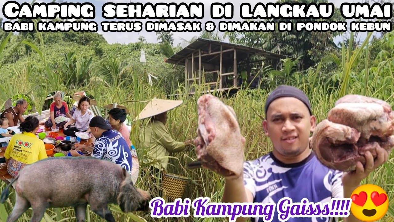Camping Fishing Rezeki Babi Kampung di Pondok Sawah Iban Dayak