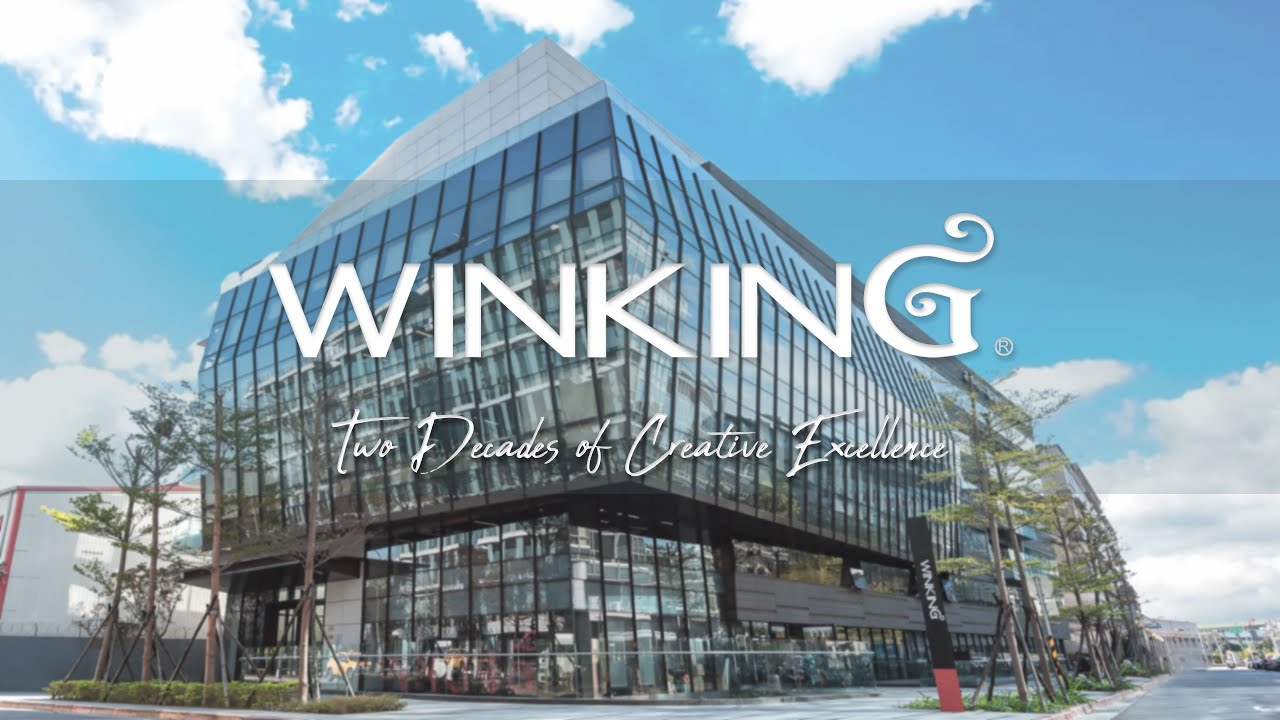 Winking Studios Corporate Video - For Investors and Talents