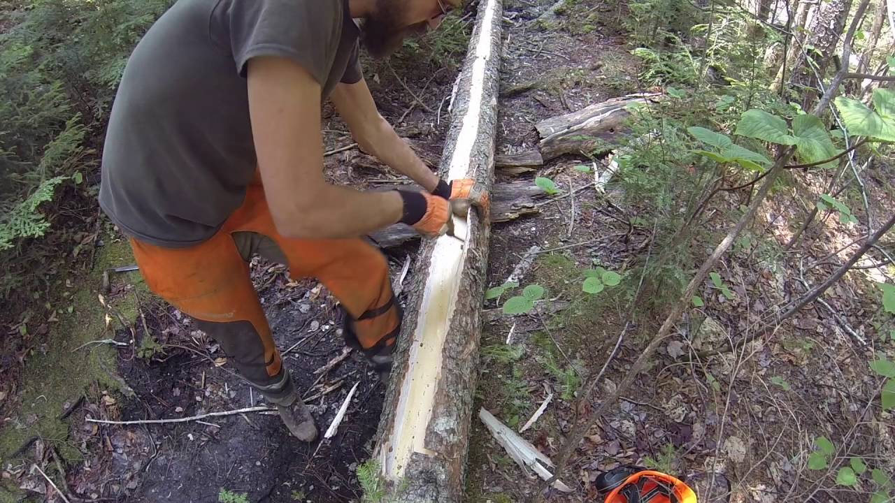 Building a Bog Bridge on a Hiking Trail