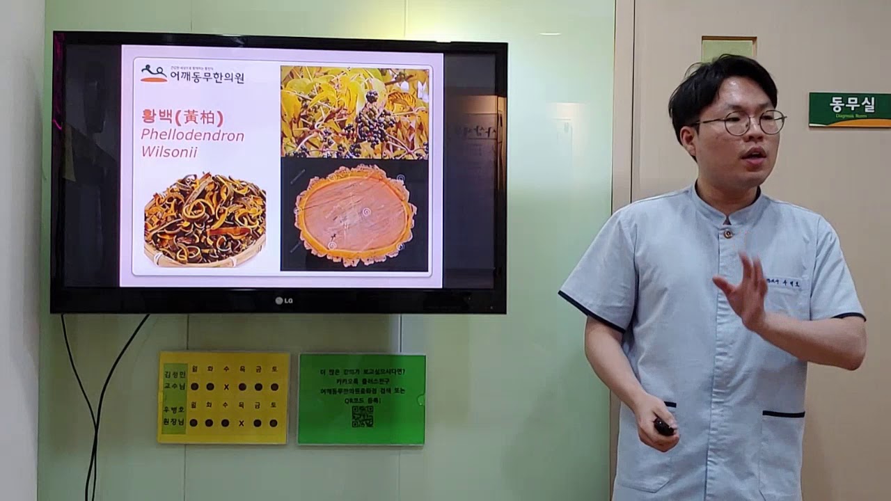 본초이야기 ( 황금, 황련, 황백)- 어깨동무한의원