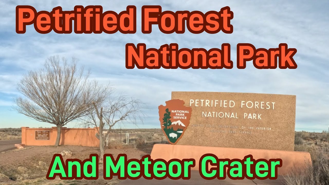 Petrified Forrest National Park and Meteor crater