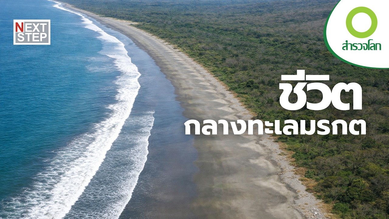 อัญมณีแห่งมหาสมุทรกับความลับของการกำเนิด | สารคดี สำรวจโลก