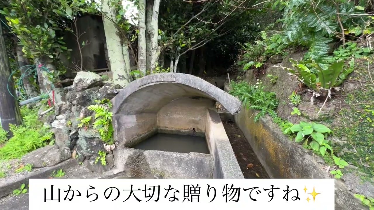 沖縄県 国頭村 与那【大自然に囲まれた 小さな集落】自然の贅沢を楽しむ