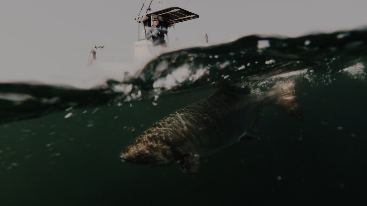 Fishing BC Presents: Langara Island Lodge on Haida Gwaii