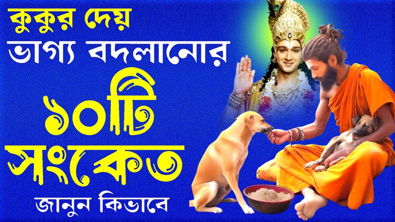 কুকুরের দেওয়া 10 টি শুভ ও অশুভ সংকেত, কুকুর কে খাওয়ালে কি হয় জানলে অবাক হয়ে যাবেন #dog  #কুকুর