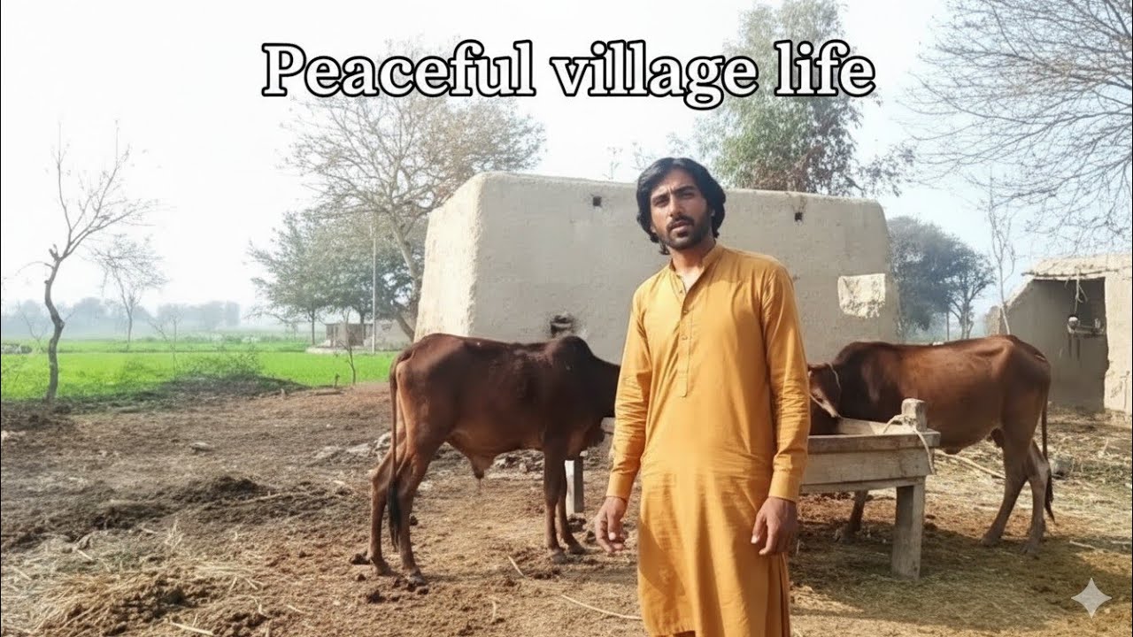 Boht Ziada porana Makan | Pure Pakistani Village Mud House | Real Rural Life