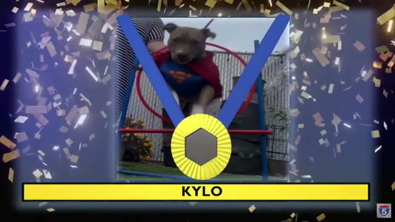 NBC5 News First winner for Gold Medal Pets Contest
