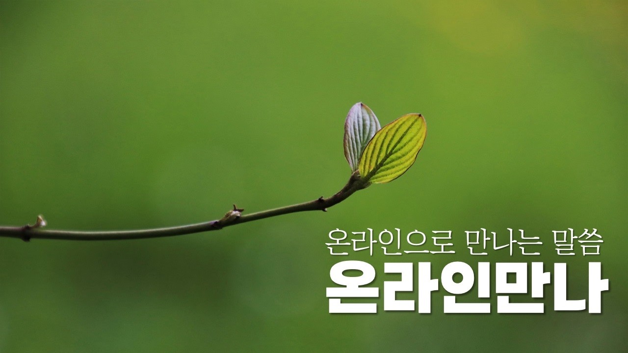 온라인만나 260310