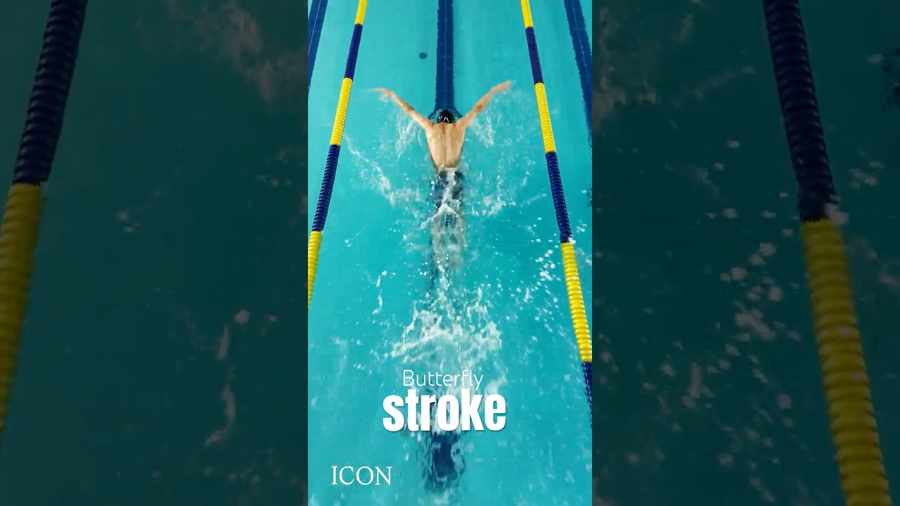 접영 25m 🏊&zwj;♂️ Butterfly Stroke Training | Swimming Practice #swimming #butterflystroke #swim