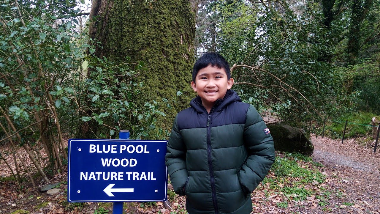 BLUE POOLis absolutely magical place to visit 🏞️