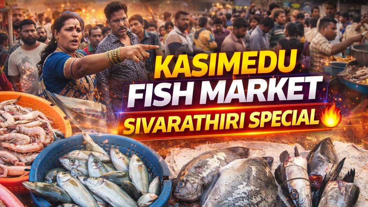 🔥 Kasimedu Fish Market Sivarathiri Special 2026 🐟 Massive Crowd, Rare Fishes & Full Market Tour 2026