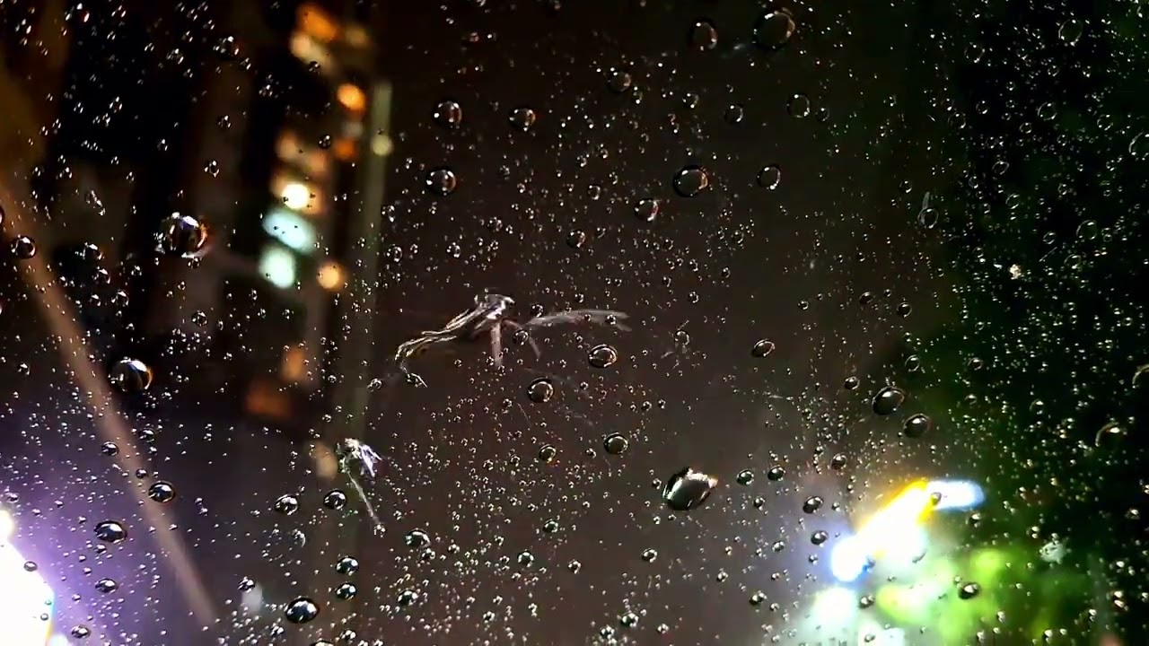 Rainy day in car v2 ^^ (published 03.14)