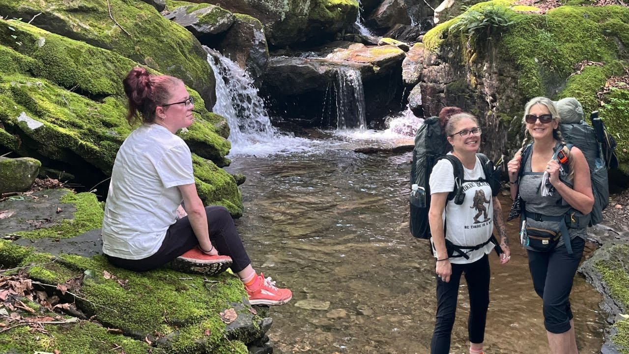 Summer Backpacking Nightmare! | Loyalsock Link Loop Trail @ Worlds End State Park!