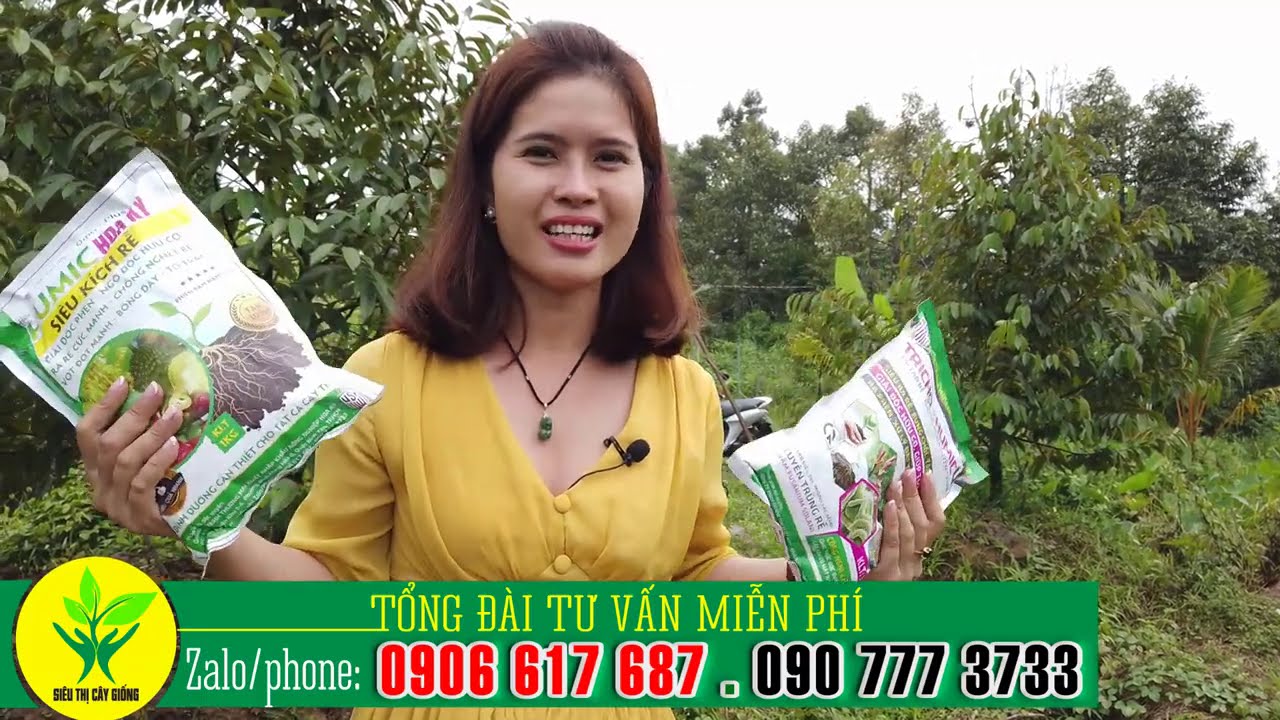 DÙNG PHÂN BÓN GÌ cho cây xanh tốt NHANH PHÁT TRIỂN TỐT
